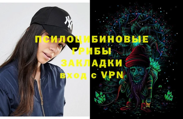 ешки Бронницы