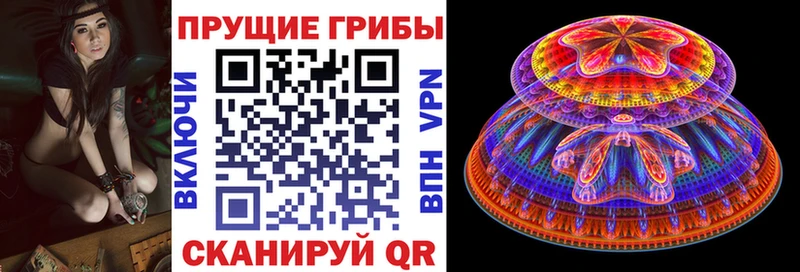 Купить  Лобня  Псилоцибиновые грибы Magic Shrooms 
